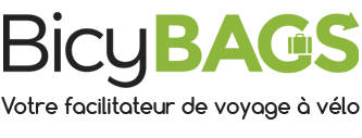 logo icon